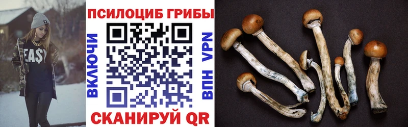 Галлюциногенные грибы ЛСД  дарк нет официальный сайт  Пересвет 